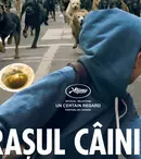 “Orașul câinilor”, propunerea Ungariei la Oscar 2015, la cinema din 20 februarie