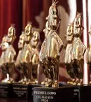 TVR transmite în această seară, în direct, a noua ediție a Premiilor Gopo