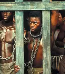 Remake-ul miniseriei „Roots / Rădăcini” se vede în SUA în 2016
