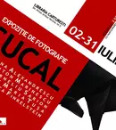 Expoziția de fotografie „5CuCal”, între 02-31 iulie, la Cărturești Verona