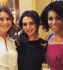 Se termină „Anatomia lui Grey” după sezonul 12?