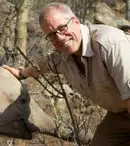 „Teroriștii fildeșului”, o anchetă sub acoperire despre comerțul ilegal de fildeș