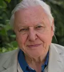 Echipa lui David Attenborough a fost jefuită de un urs polar
