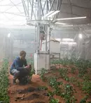 Actorul Matt Damon s-a apucat de vândut cartofi