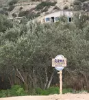 Mâine începe “Ferma vedetelor”. Ce nu trebuie să ratezi!