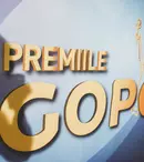 Peste 130 de filme în competiția pentru Premiile Gopo 2016