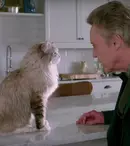 „Nouă vieți” / „Nine Lives”: Kevin Spacey este un motan în primul teaser