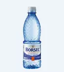 Borsec, mai mult decât un brand, un Superbrand