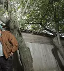 „Las Fierbinţi”: Celentano se hotărăște să plece înspre soare-apune, via Dridu