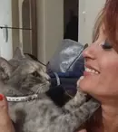 Cele șapte vieți ale pisicii Ancăi Țurcașiu