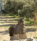 În această săptămână, “Ferma vedetelor” este luată cu asalt de pirați