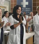 Diva anunță două zile de maraton „Anatomia lui Grey”