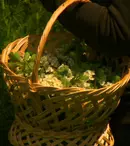 Digi Life lansează seria de minidocumentare „Vraci, secrete și rețete”