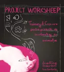 Cum iau naștere animațiile. Anim’est reia Project Worksheep