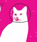 Anim’est 2016 invită copiii la Minimest. Ce filme sunt programate pentru cei mici