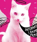 Pisicile invadează Anim’est-ul!