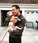 Sărbătoritul săptămânii 6-12 martie: Tobias Menzies