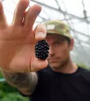 Seria „Lumea lui Chuck” începe săptămâna viitoare la TV Paprika