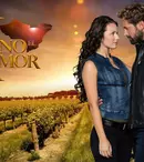Pro 2 aduce, de luna aceasta, telenovela „Vin iubiri neaşteptate” („Vino el amor”), cu Gabriel Soto în rol principal