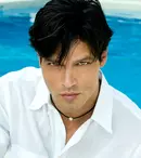 Starul italian Gabriel Garko, din serialul „Onoare și respect”, prezintă Cerbul de Aur