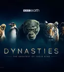 GALERIE FOTO. Din 22 noiembrie, BBC Earth începe difuzarea seriei documentare „Dinastii”