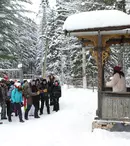 Marți începe Ferma, de la 21:30, la PRO TV!