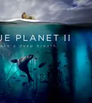 Discovery și BBC își fac platformă de streaming. Cei doi giganți au semnat un acord de 300 de milioane de £