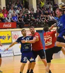 Finala Ligii Zimbrilor se joacă în direct la TVR