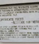 Din 13 mai, Digi 24 prezintă istoriile oamenilor care au supraviețuit Gulagului și temnițelor politice românești