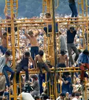 GALERIE FOTO. Documentarul „Generația Woodstock” e disponibil pe platforma de streaming TIFF Unlimited