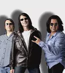 Sarmalele Reci lansează videoclip nou: „MTV Is My Friend”