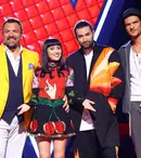 Pro TV a anunțat premiera noului sezon „Vocea României”. Ce schimbări suferă formatul emisiunii