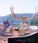 Consiliul de Administraţie al TVR a aprobat organizarea Festivalului Internaţional Cerbul de Aur, ediţia din 2020