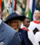 Prințul Charles, moștenitorul Coroanei britanice, confirmat pozitiv cu coronavirus