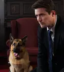 Serialul „Hudson și Rex” revine la Diva cu un nou sezon