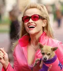 E oficial! Când va ajunge partea a treia a peliculei „Blonda de la drept” pe marile ecrane