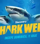 Discovery Channel lansează la apă Shark Week 2021