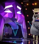 Cine s-a ascuns în spatele Bufniței de la Masked Singer. S-a demascat singur, „sufocat” în costum: "M-au durut toate! Spondiloza!”