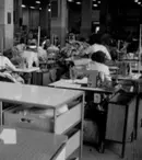 Din 6 octombrie, emisiunea „Adevăruri despre trecut”, de la TVR 1, ne așteaptă cu un sezon nou