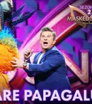 Papagalul, demascat la „Masked Singer România”. Cine se ascundea în spatele măștii
