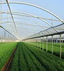 Folie profesională solarii – avantaje și metode de folosire