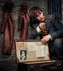 „Animale Fantastice: Secretele lui Dumbledore” ajunge la cinema. Când e premiera filmului cu Eddie Redmayne