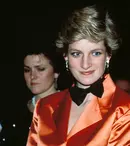 Prințesa Diana, moment stânjenitor în timpul unei ședințe foto. „A fost un accident teribil”