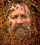 O nouă emisiune la Discovery. Când începe „Regele albinelor”