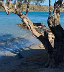 Declarațiile lui George Buhnici stârnesc alte reacții din partea vedetelor. „Mă numesc Andreea Raicu și am celulită și vergeturi“