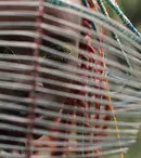 Un „torent” de filme de avangardă, la două cinematografe din București. BIEFF-ul merge mai departe