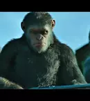 Filme la TV azi, 27 septembrie: „Planeta maimuțelor: Războiul”, „Campionul de la Auschwitz”, „Sfârșitul lumii”, „Ray”