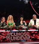 „Te cunosc de undeva!”, în Ajunul Crăciunului 6 cupluri de artişti se vor întrece în transformări spectaculoase