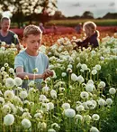 „Close”, tot ce trebuie să știți despre filmul premiat cu Grand Prix la Cannes. Când are premiera în România