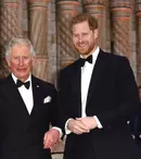Prințul Harry a avut mai multe discuții cu regele Charles înainte de încoronare. Despre ce au vorbit